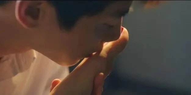 k9究竟是什么？深度解析与你想知道的一切 一