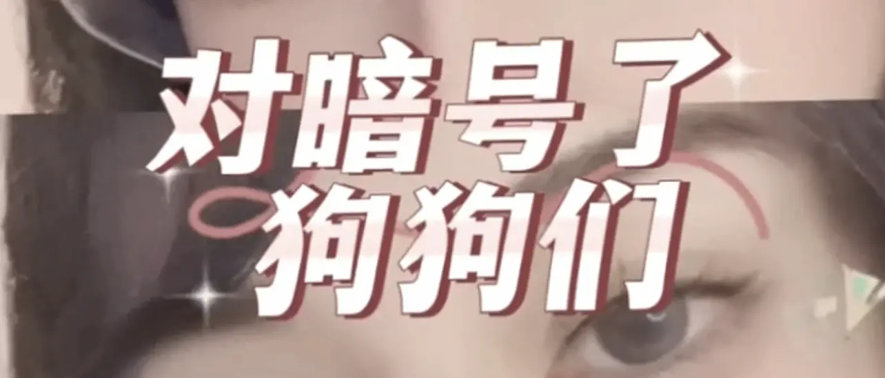“字母圈入圈”前你必须知道的那些事,你准备好迎接新体验了吗? 一