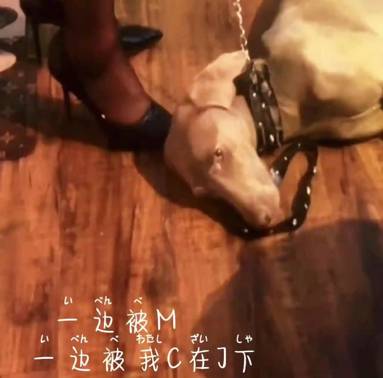 BDSM入圈，你准备好迎接女王的指引了吗？ 一
