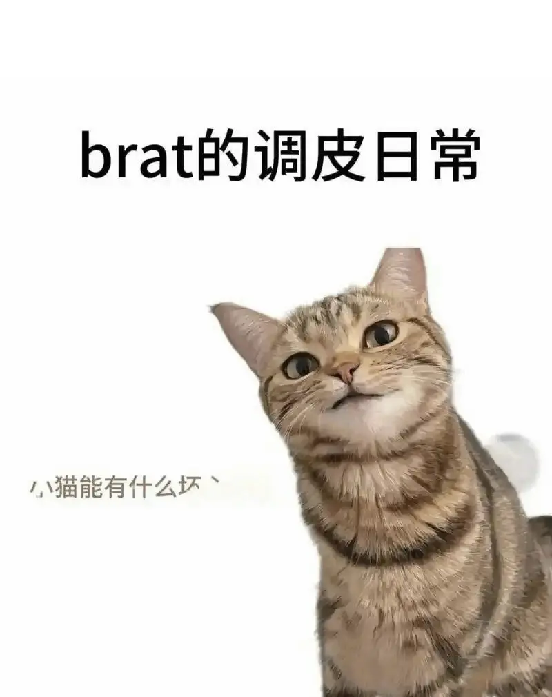 “用spank测试你的BDSM边界，你敢挑战吗？” 一