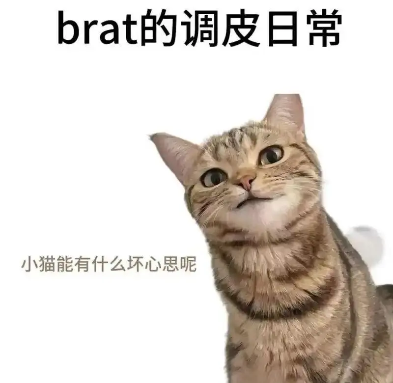 西檬之家s倾向是什么意思？ 一