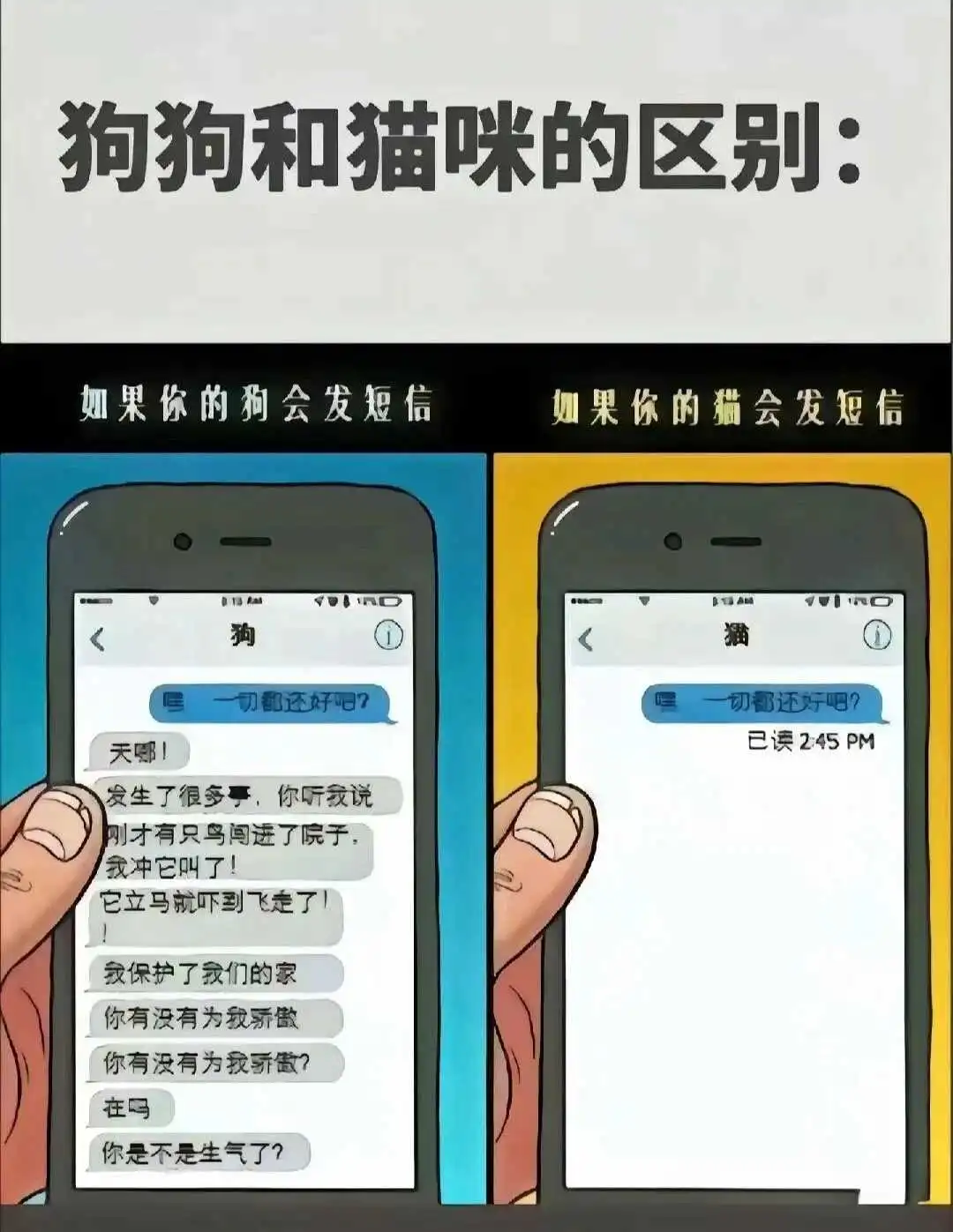 西檬之家字母圈s属性是什么意思? 一