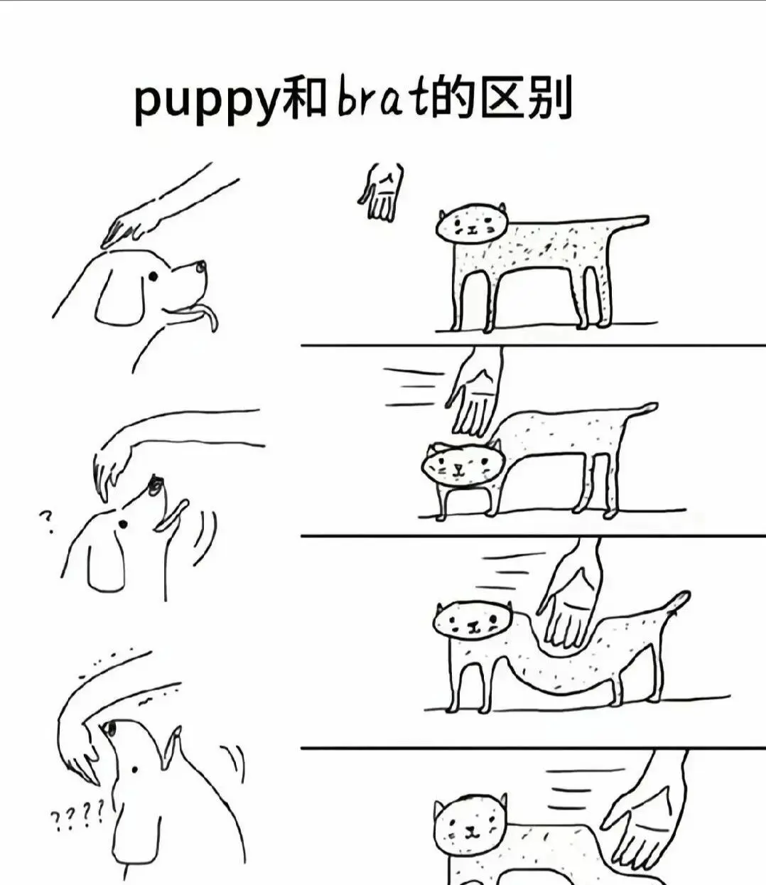西檬之家BDSM入圈指南:新手如何安全开启字母圈之旅? 一